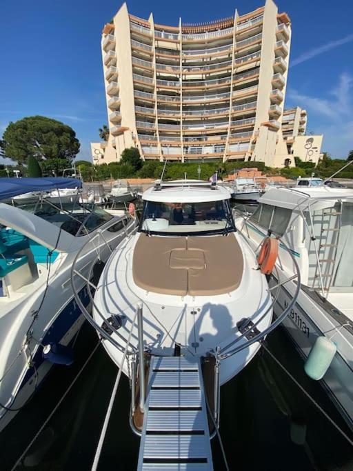 Sejour Sur Bateau De Plaisance Hotell Mandelieu Exteriör bild